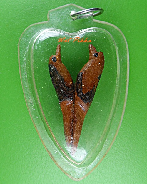 สาริกาหลวงพ่อพิเชฐ วัดโคกหม้อ ลพบุรี .5474.