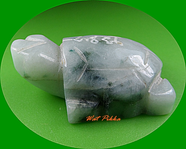 เต่าหลวงพ่อพิเชฐ วัดโคกหม้อ ลพบุรี .5476.