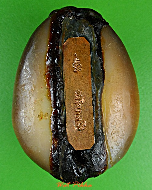 เบี้ยแก้หลวงพ่อพิเชฐ วัดโคกหม้อ ลพบุรี .5483.