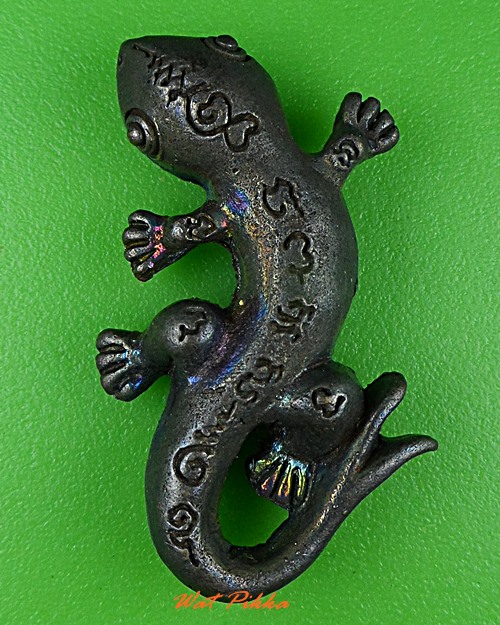 จิ้งจกสองหางหลวงพ่อพิเชฐ วัดโคกหม้อ ลพบุรี .5488.