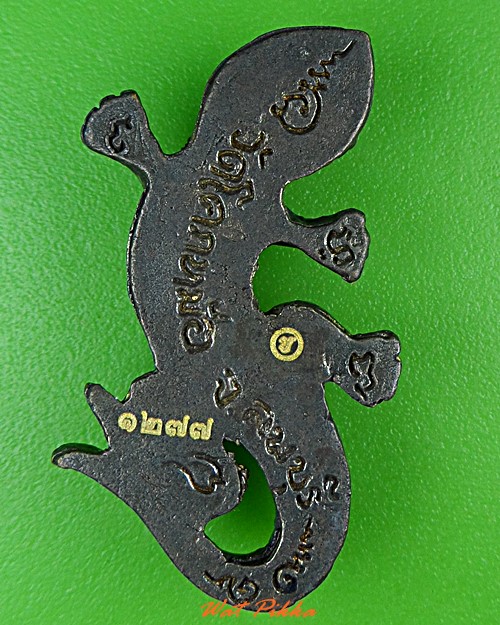 จิ้งจกสองหางหลวงพ่อพิเชฐ วัดโคกหม้อ ลพบุรี .5488.