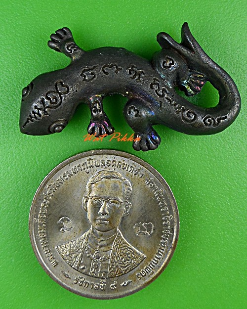 จิ้งจกสองหางหลวงพ่อพิเชฐ วัดโคกหม้อ ลพบุรี .5488.