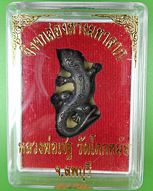 จิ้งจกสองหางหลวงพ่อพิเชฐ วัดโคกหม้อ ลพบุรี .5488.