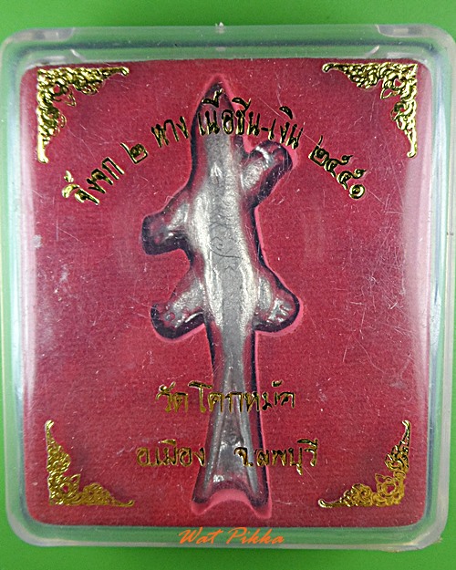 จิ้งจกสองหางหลวงพ่อพิเชฐ วัดโคกหม้อ ลพบุรี .5489.