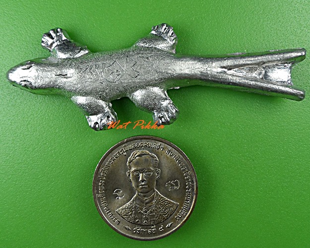 จิ้งจกสองหางหลวงพ่อพิเชฐ วัดโคกหม้อ ลพบุรี .5489.