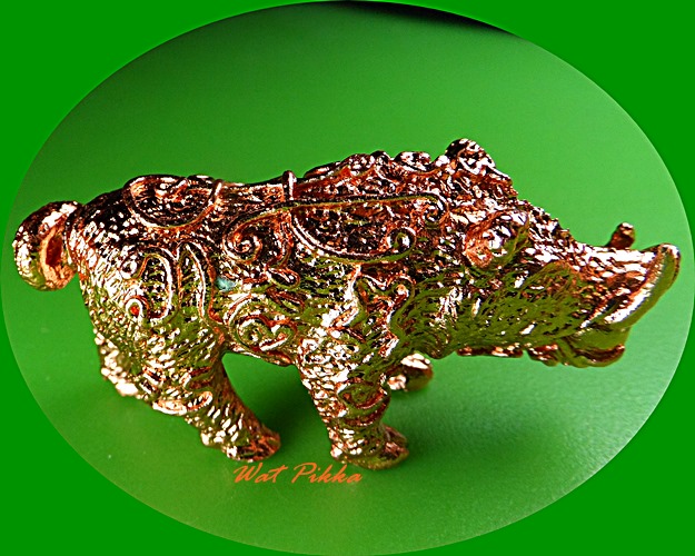 หมูทองแดงคาบแก้วหลวงพ่อพิเชฐ วัดโคกหม้อ ลพบุรี .5490.