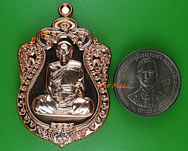 เหรียญเสมาหัวเสือหลวงพ่อใย วัดปากป่า ระยอง .5523.
