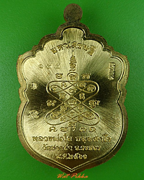 เหรียญเสมาหัวเสือหลวงพ่อใย วัดปากป่า ระยอง .5528.