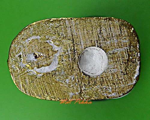 เสือหลวงพ่อหล่ำ วัดสามัคคีธรรม กทม. .5653.