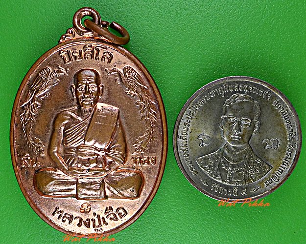 เหรียญหลวงปู่เจือ วัดกลางบางแก้ว นครปฐม .5709.