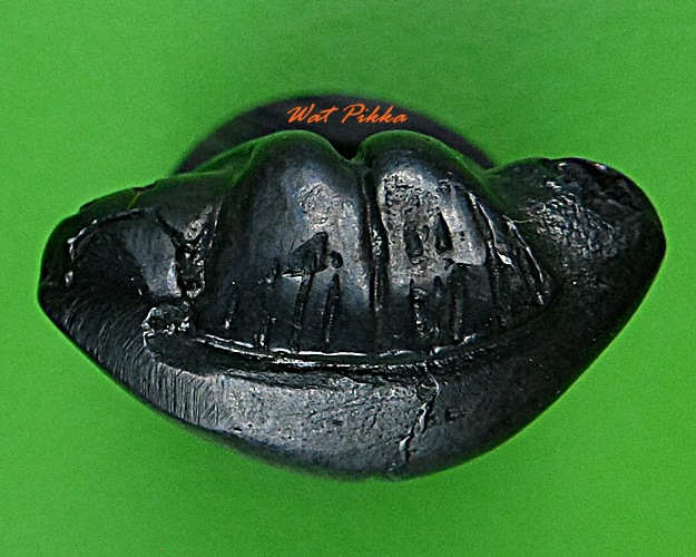 พระปิดตาย้อนยุคหลวงปู่นาค วัดห้วยจระเข้ นครปฐม 5771.