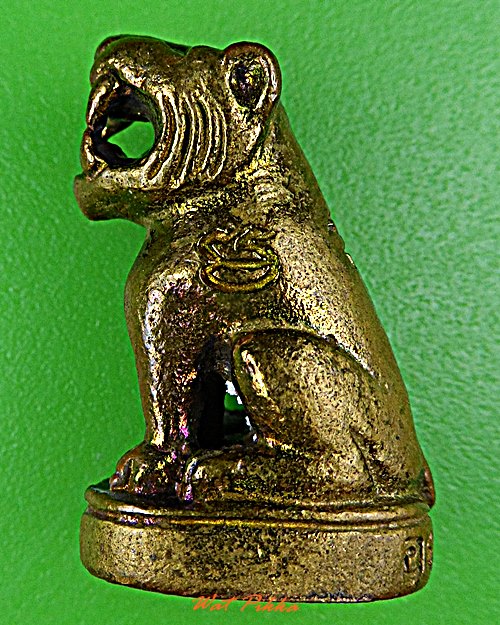 เสือหลวงพ่อเสาร์ วัดดอนหญ้านาง อยุธยา .5774.