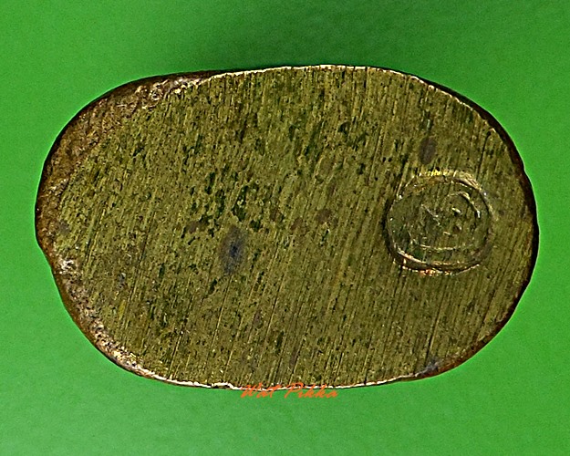 เสือหลวงพ่อเสาร์ วัดดอนหญ้านาง อยุธยา .5774.