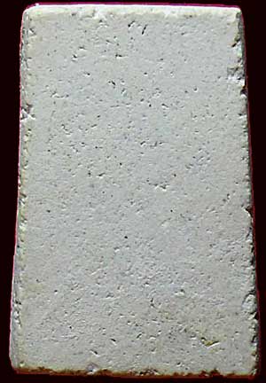 พิมพ์คะแนน เนื้อผง