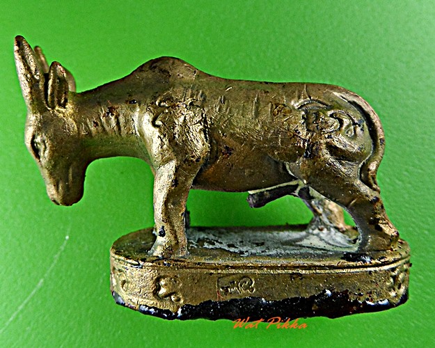 วัวธนูหลวงพ่อพูล วัดไผ่ล้อม นครปฐม .5777.