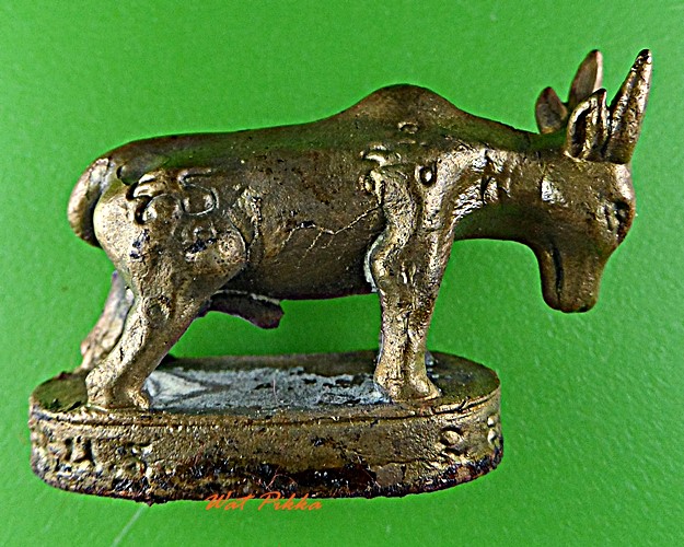 วัวธนูหลวงพ่อพูล วัดไผ่ล้อม นครปฐม .5777.