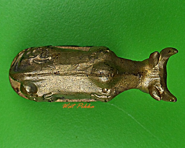 วัวธนูหลวงพ่อพูล วัดไผ่ล้อม นครปฐม .5777.