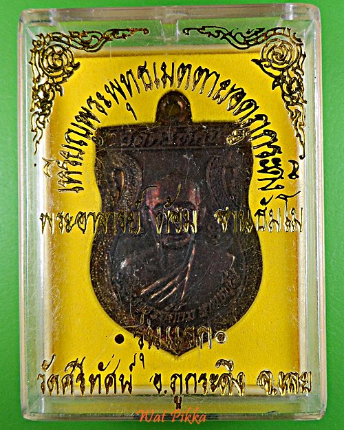 เหรียญรุ่นแรกพระอาจารย์ต้อม วัดศรีทัศน์ เลย .5806.