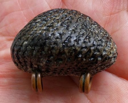 *เบี้ยแก้ ยุคปลาย หลวงปู่เพิ่ม วัดกลางบางแก้ว นครปฐม*