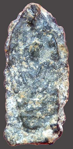 *นาคปรกสองหน้า กรุวัดปืน ลพบุรี เนื้อชินเขียว*