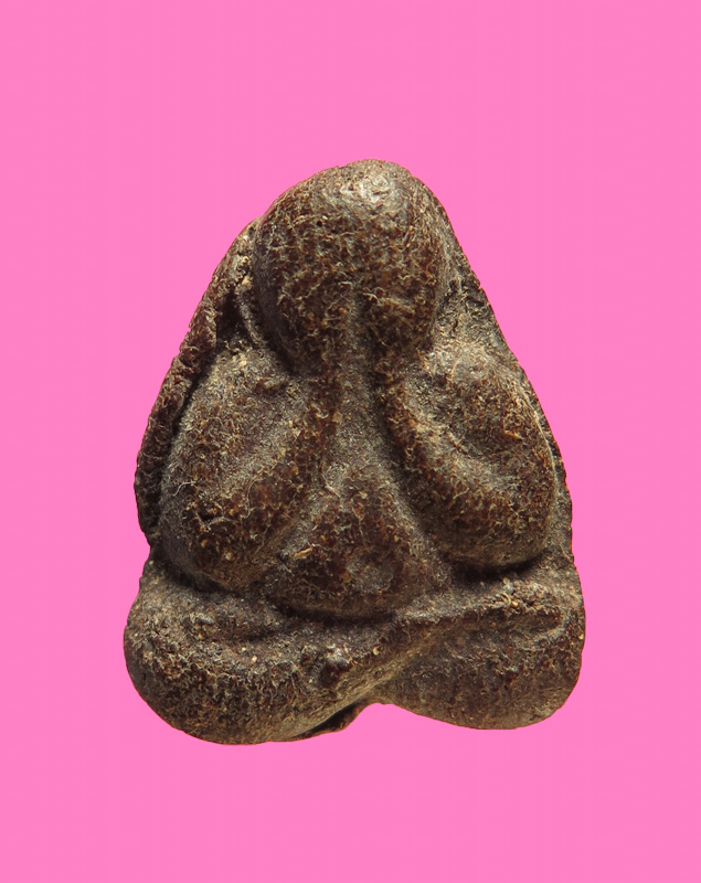 ปิดตา เนื้อว่าน