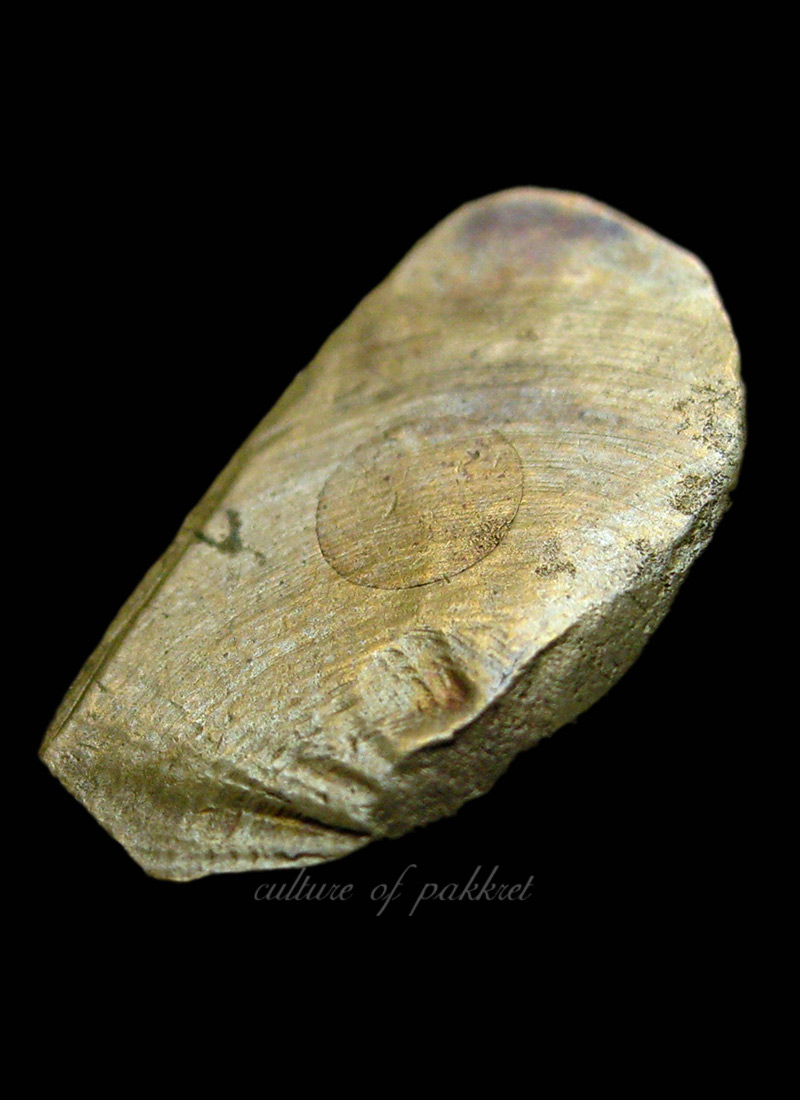 รูปเหมือนปั๊ม หลวงพ่อโบ วัดศิลาชลเขต (404)