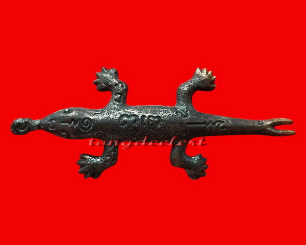 พญาจิ้งจกหลวงปู่หลิว ออกวัดหนองอ้อ สวยมากค่ะ