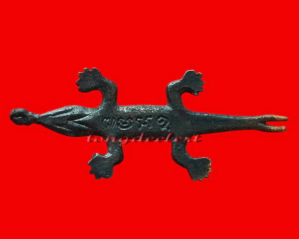 พญาจิ้งจกหลวงปู่หลิว ออกวัดหนองอ้อ สวยมากค่ะ