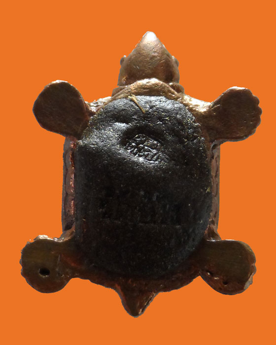 พญาเต่าเรือน ๑ อาจารย์เดช วัดช้าง จ.นครนายก 