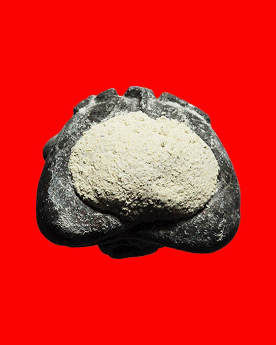 พระปิดตาชมภูนุช หลวงปู่หมุน ฐิตสีโลเสก 