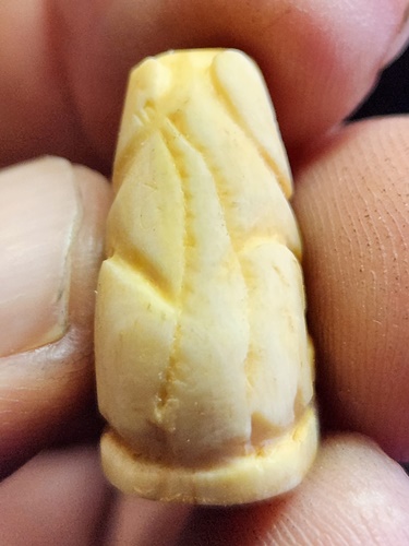 เสือแกะ