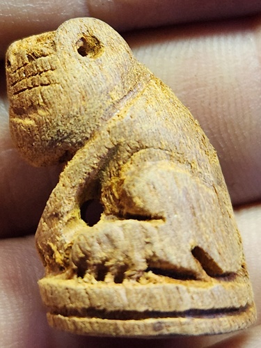 วัดบางบ่อ จ.สมุทรปราการ เสือไม้แกะ หลวงพ่อชาญ ก้นจารมือ