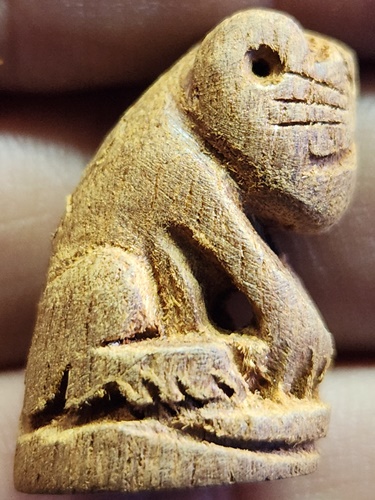 วัดบางบ่อ จ.สมุทรปราการ เสือไม้แกะ หลวงพ่อชาญ ก้นจารมือ