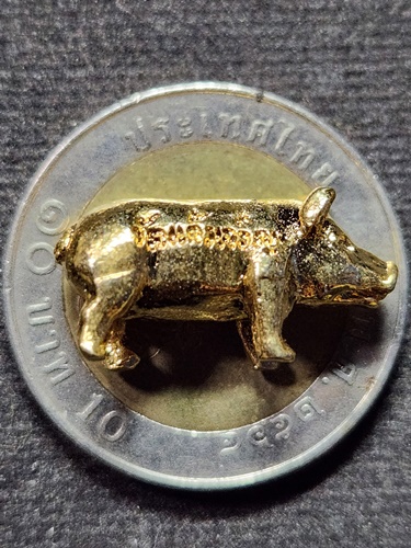 วัดแก้วเจริญ จ.สมุทรสงคราม หมูมหาลาภ หลวงพ่อหยอด ปี 2538 เนื้อกะไหล่ทอง 