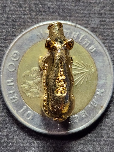 วัดแก้วเจริญ จ.สมุทรสงคราม หมูมหาลาภ หลวงพ่อหยอด ปี 2538 เนื้อกะไหล่ทอง 