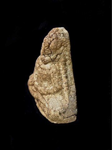 พระผงเกสร หลวงพ่อลี วัดอโศการาม 