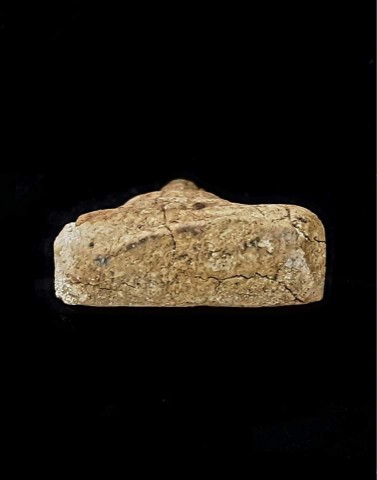 พระผงเกสร หลวงพ่อลี วัดอโศการาม 