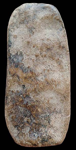 *ลีลาข้างดอกไม้ เนื้อดิน*