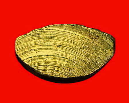 พระกริ่งพระพุทธสถาพรมงคล (หลวงพ่อโต) วัดถาวรวราราม(วัดญวน) จ.กาญจนบุรี สวยมากค่ะ