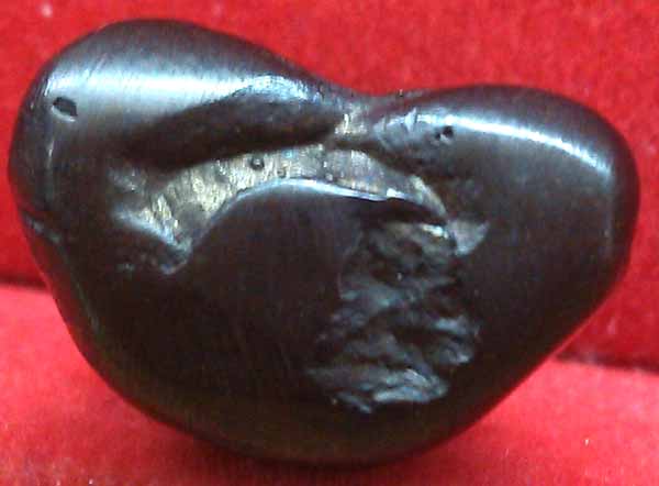 *ปิดตาปุ้มปุ้ย*