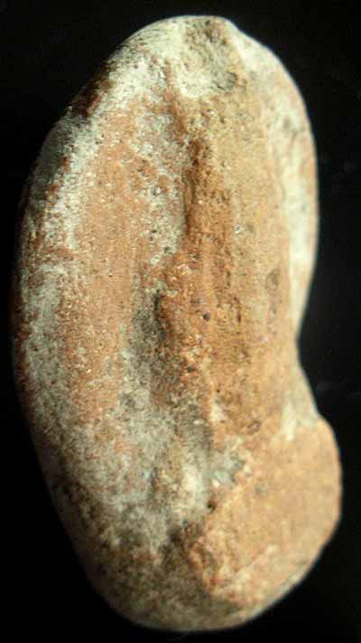 *เนื้อดินเผา หลังอูม เก่าๆ*