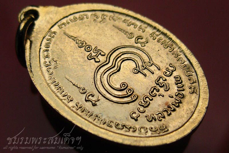 เหรียญหันข้าง กะหลั่ยทอง หลวงพ่อแพ วัดพิกุลทอง (3)