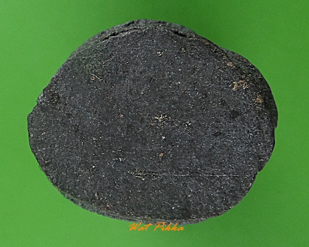 พญาวานรพระอาจารย์อนันต์ วัดบางพลีน้อย สมุทรปราการ .4034.*