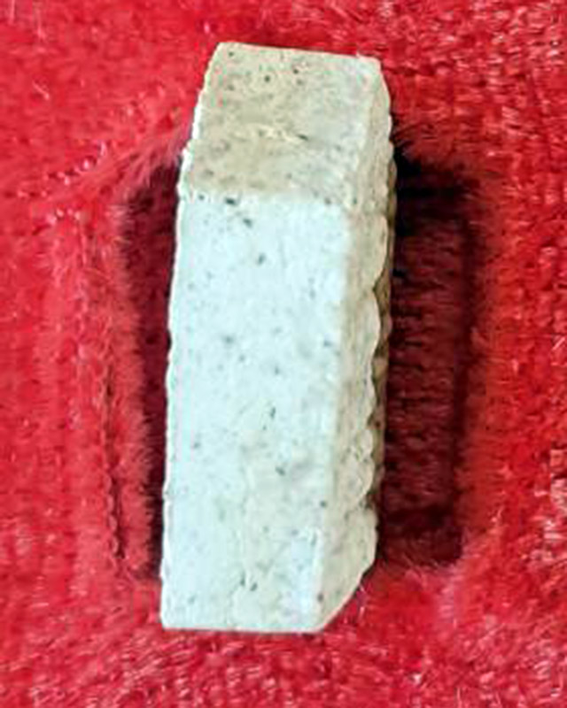 หลวงพ่อสาคร มนุญโญ วัดหนองกรับ อ.บ้านค่าย จ.ระยอง (ศิษย์เอกหลวงปู่ทิม