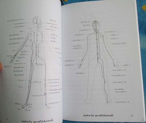  	 หนังสือกดจุดรักษาโรค