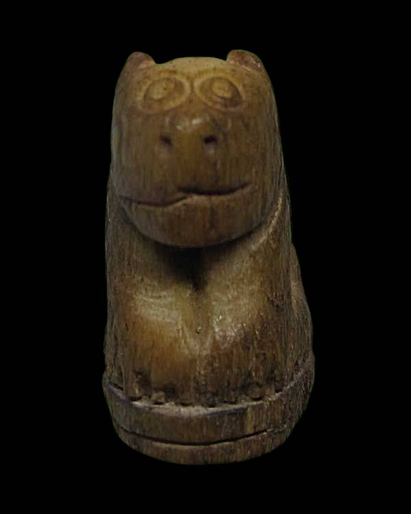 เสือหลวงพ่อสาย วัดบางเหี้ย จ.สมุทรปราการ