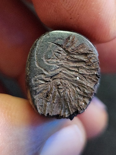 วัดบางผึ้ง ฉะเชิงเทรา เสือไม้แกะ หลวงตาแก่ 