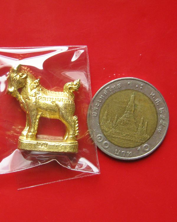 แพะมหาเสน่ห์ แพะตัวเมีย รุ่นคู่ชีวิต หลวงพ่อคง(สัญญา) วัดกลางบางแก้ว ออกปี 58 เป็นแพะรุ่นเดียวของหลว