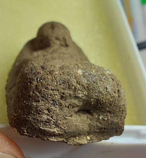 พระผงเนื้อว่านหลวงปู่ทวด วัดพระมหาธาตุวรวิหาร จ.นครศรีธรรมราช ปี 2554 รุ่นบารมีมหาราช พิมพ์พระรอด 