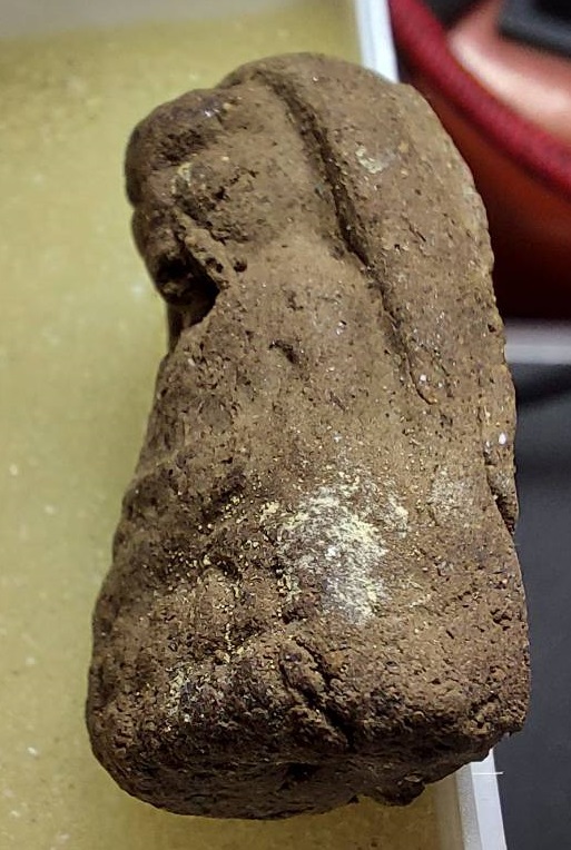 พระผงเนื้อว่านหลวงปู่ทวด วัดพระมหาธาตุวรวิหาร จ.นครศรีธรรมราช ปี 2554 รุ่นบารมีมหาราช พิมพ์พระรอด 